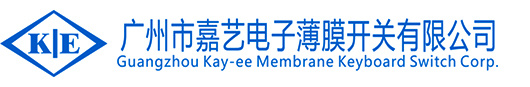 美女露逼逼的视频